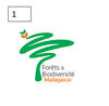 Choix n°1 du logo dP  "Forêts et Biodiversité à Madagascar"