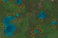 Etude de l'écologie des baobas sur une image satellite ©Cirad, C.Cornu