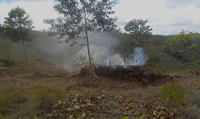 Exploitation de charbon de bois à Anjozorobe ©Cirad, Tojo David Ramamonjisoa