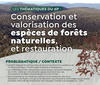 Extrait kakemono - Valorisation des bois malgaches © dP F&B