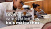 Diversité et valorisation des bois malgaches © dP F&B