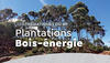 Plantation Bois-énergie  © dP F&B