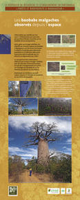 Les baobabs malgaches observés depuis l'espace © Cirad, DP Forêts & Bio
